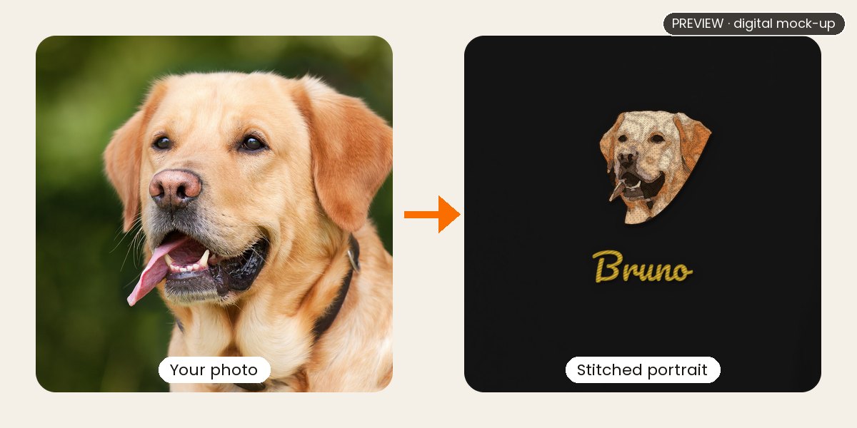 Preview: a Labrador's photo next to the same dog embroidered on a black hoodie